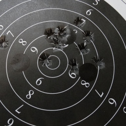 Zawody Otwarte Sekcji Strzeleckiej - Wyniki