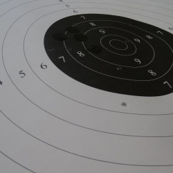 Zawody Otwarte Sekcji Strzeleckiej - Wyniki